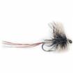 mayfly spent